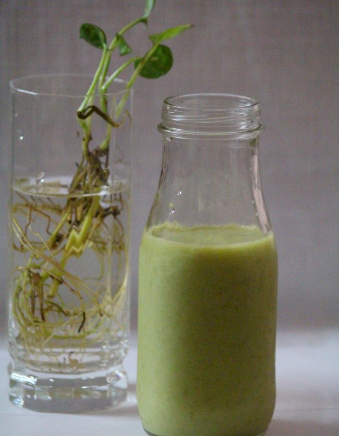 Matcha Green Tea Smoothie