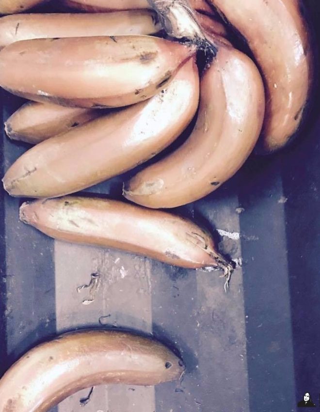 Red Banana