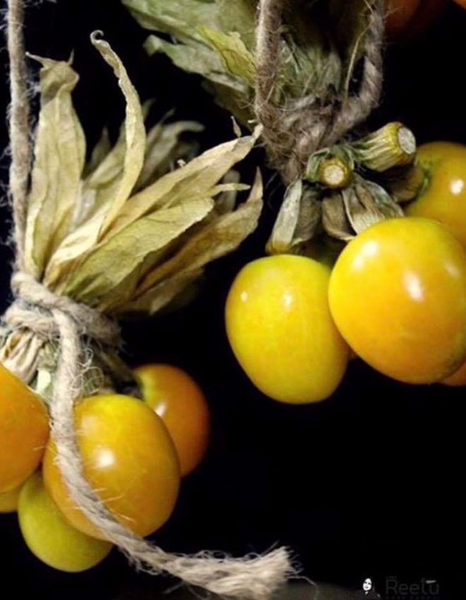 Cape Gooseberry