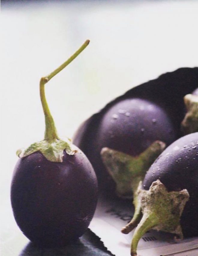 Eggplant