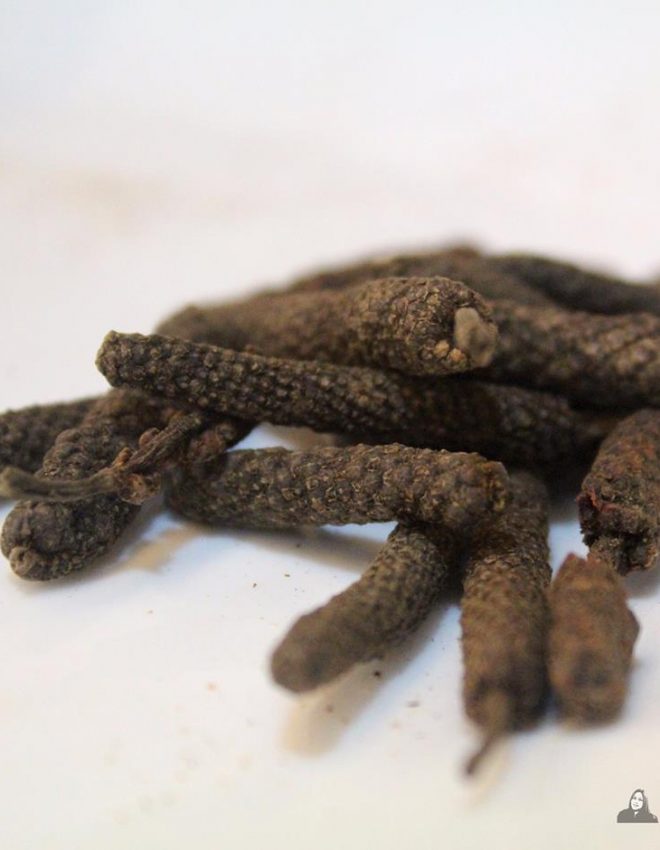 Long Pepper