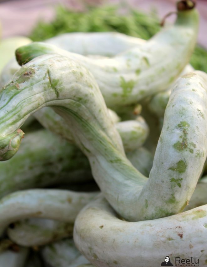 Snake Gourd