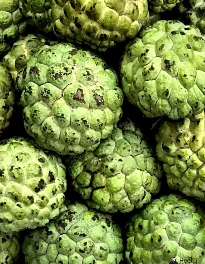 Custard Apple