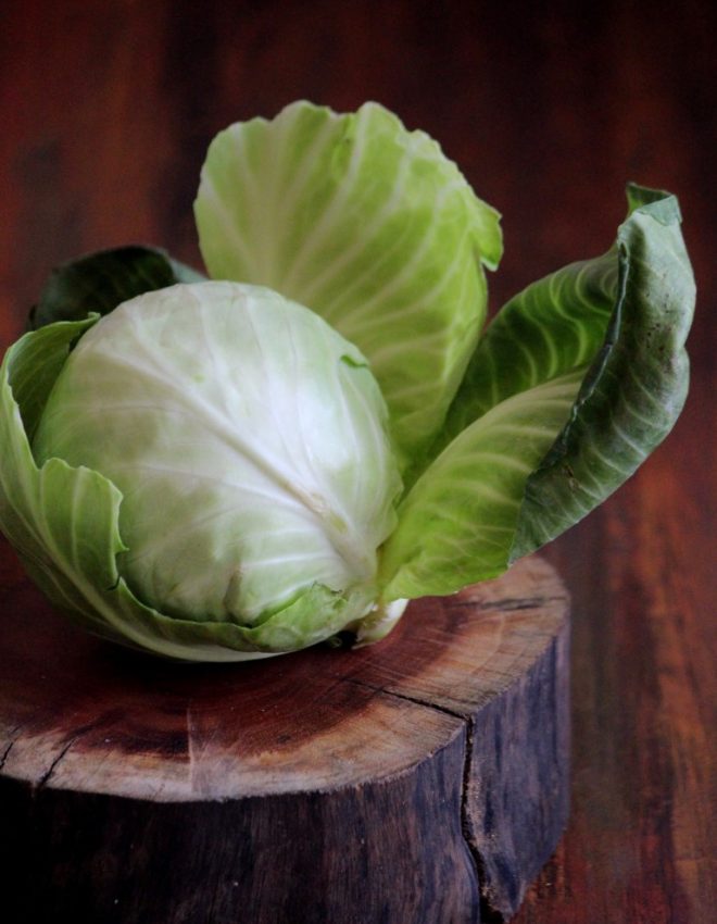 Cabbage