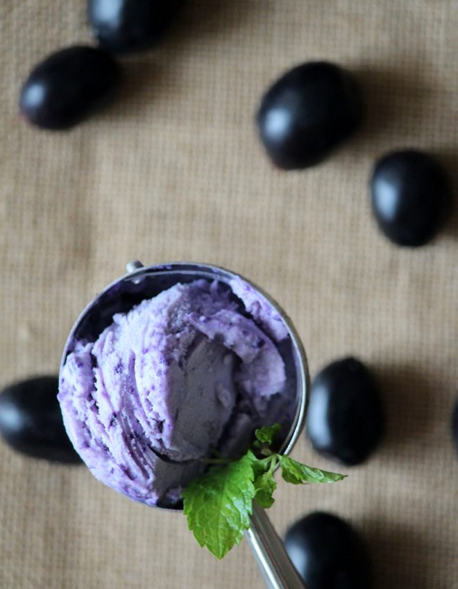 Indian Blackberry Ice Cream (Jamun Ice Cream) Diabetic-Friendly